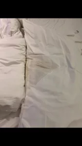 打开了新世界大门。