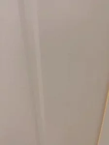 打开房门后我加入了战斗