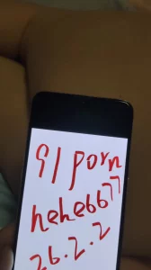 [原创] 原创作品验证